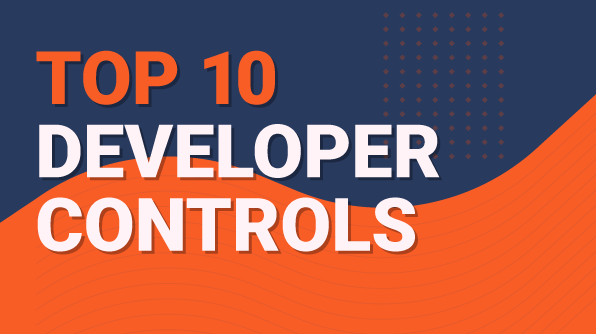 72 DPI_Top 10 Developer Controls-01