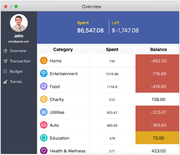 Displays the overview of expense details using datagrid