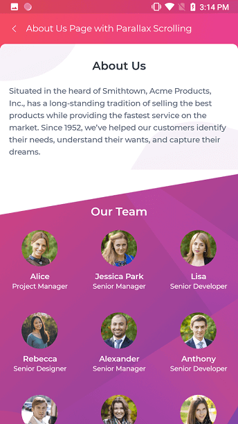 About Us page in UI Kit
